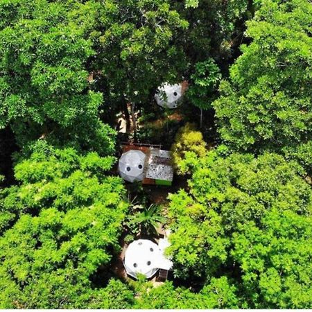 Faith Glamping Dome Costa Rica Hotel Manzanillo  Exterior photo