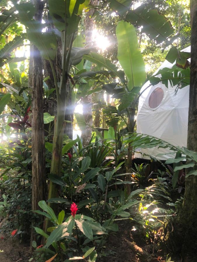 Faith Glamping Dome Costa Rica Hotel Manzanillo  Exterior photo
