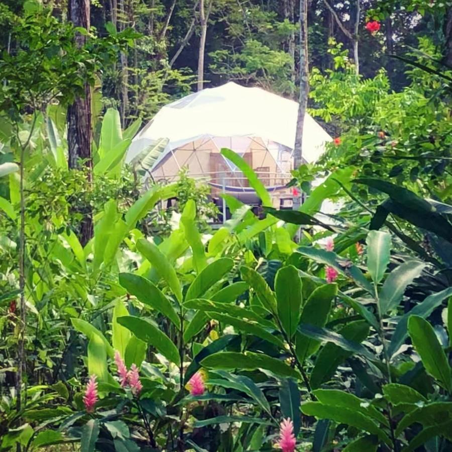 Faith Glamping Dome Costa Rica Hotel Manzanillo  Exterior photo