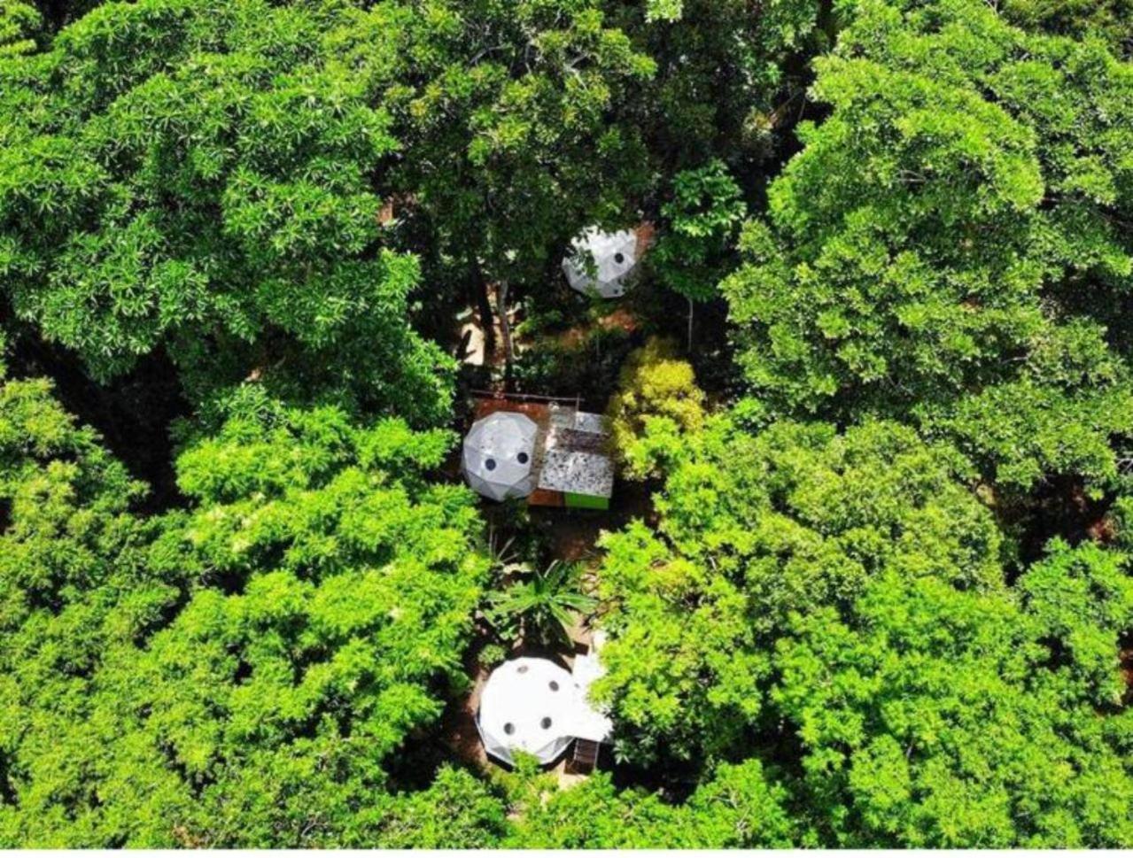Faith Glamping Dome Costa Rica Hotel Manzanillo  Exterior photo